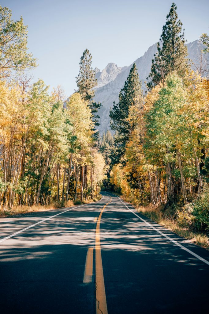 Cyclical Living Outdoor mindfulness
